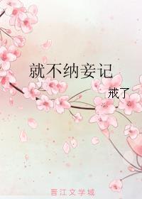 不纳妾是什么意思