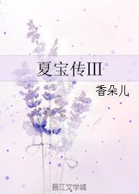 夏宝传3全文免费阅读