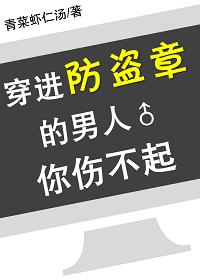 穿进防盗章的男人你伤不起 内容