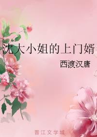 沈大小姐的上门婿百度百科