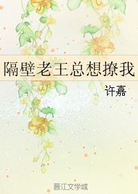 隔壁老王总想撩我txt