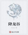 降龙谷魔域游戏攻略