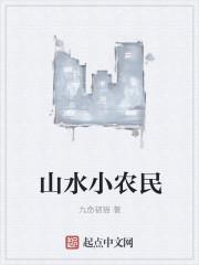 山水小农民txt