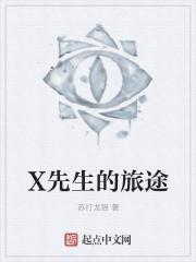 x先生系列