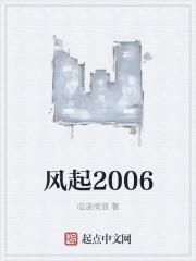 风起2005 TXT