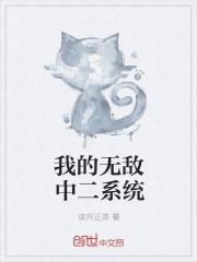 无敌领域系统第二季