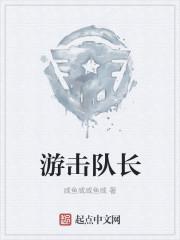 游击队长李向阳