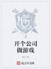 游戏制作公司游戏