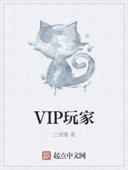 vip玩家chinajoy