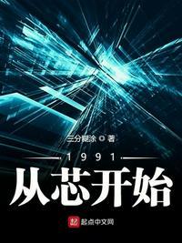 1991从芯开始无弹窗