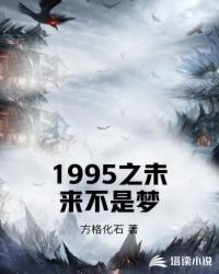 1995之未来不是梦 方格化石