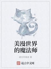 美漫世界的魔法师在线阅读