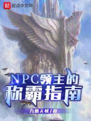 NPC领主的称霸