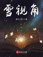 雪视角 pdf