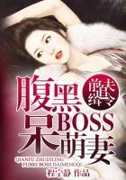 前夫追缉令腹黑boss呆萌妻人物关系