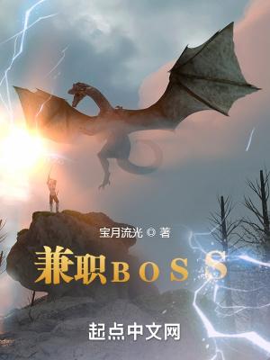 兼职BOSS宝月流光阅读