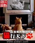 猫行天下什么意思