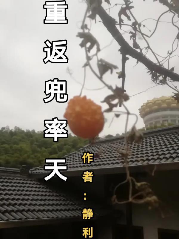 重返兜率天吧