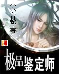 极品鉴定师秦风