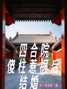 四合院开局替代傻柱