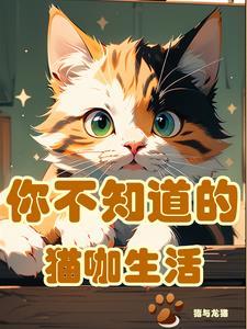 开一家猫咖需要多少钱