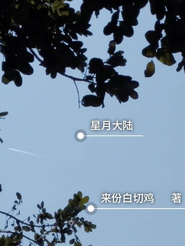 星月大陆游戏搬砖