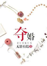 夺婚无影有踪第二部