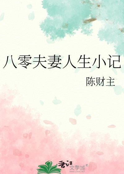 八零夫妻人生小记 txt