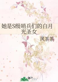 她是S级哨兵们的白月光圣女免费阅读