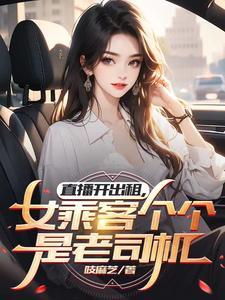 女主播户外出租车