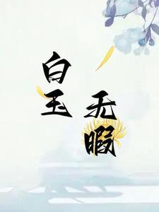 字谜白玉无瑕是什么字