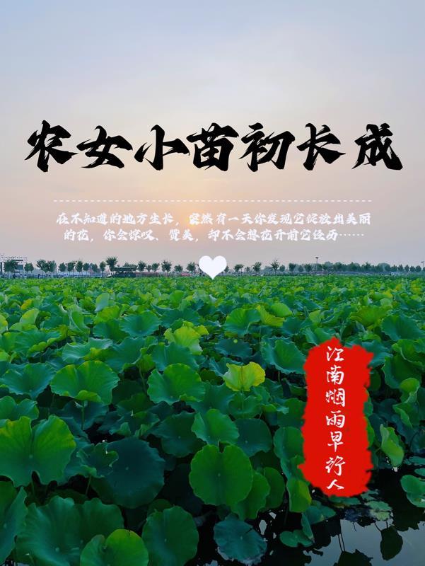 小农女官网