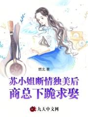 苏小姐想离婚