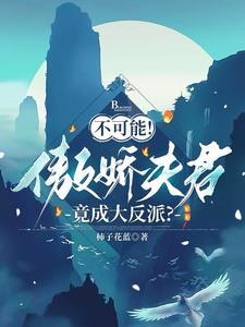 傲娇夫君是个宝