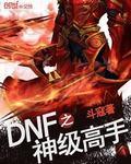 dnf之神级高手全本txt