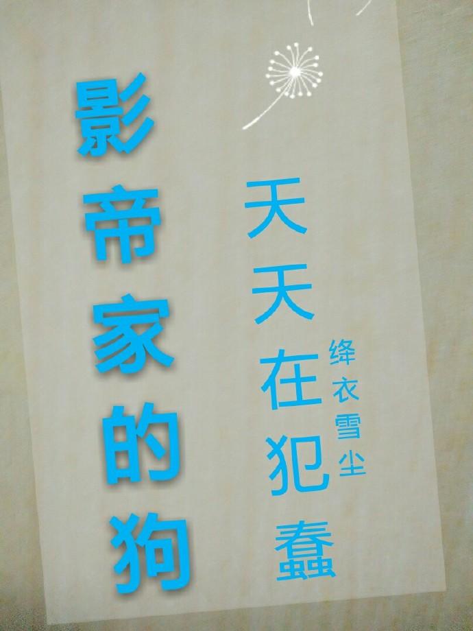 影帝家的小狼狗甜又撩