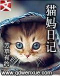 猫妈日记微信