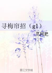 寻梅帘招(gl) 作者爪阿肥