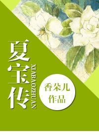 夏宝传ⅲ