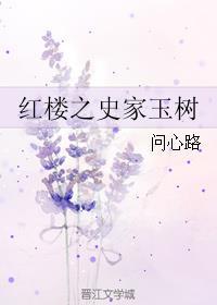 红楼之史家公子