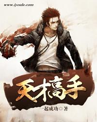 天才高手无删减版